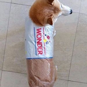 Meet your Posher, Jordan